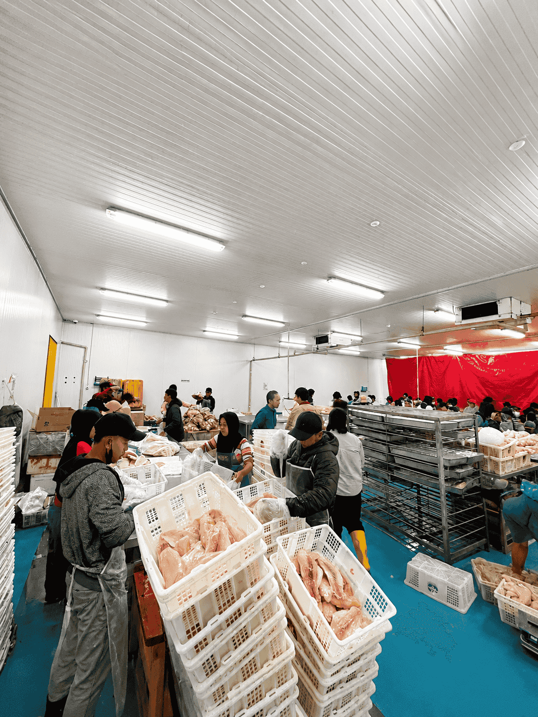 Supply chain 11